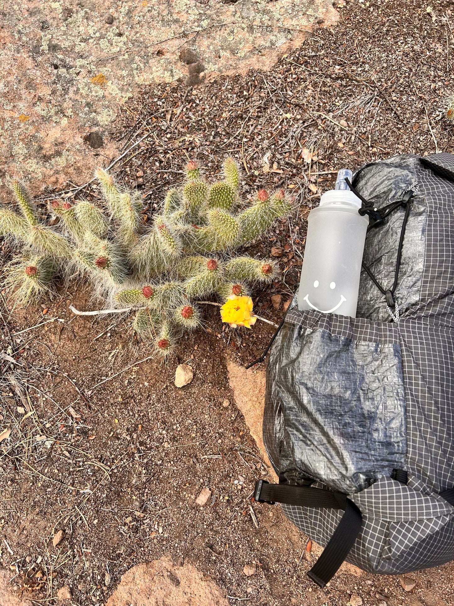 750mL Soft Flask